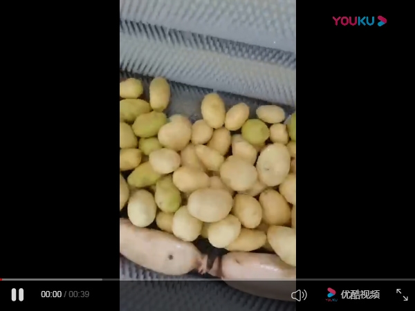清洗流水线